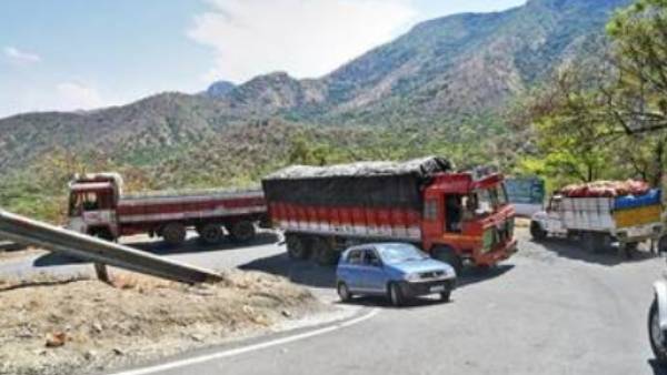 வனவிலங்குகள்