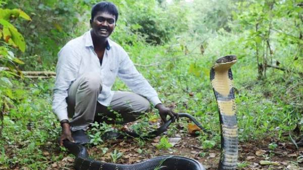 சுவாசக் கருவி 