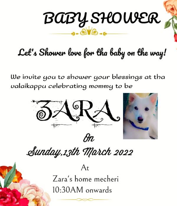 பத்திரிக்கை 