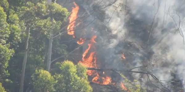 தொடரும் தீ 