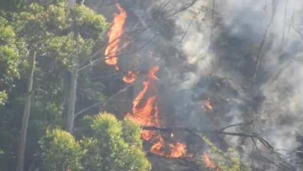 சுற்றுலா பயணிகள் அதிகரிப்பு 