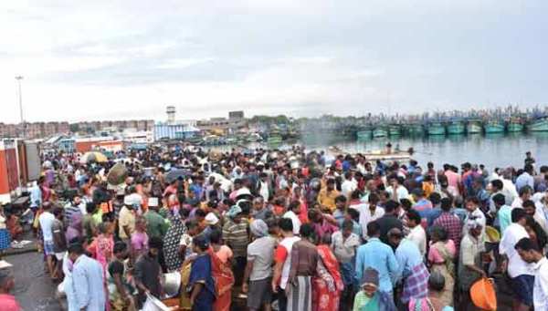 மீன்கள் விலை மீன்கள் விலை