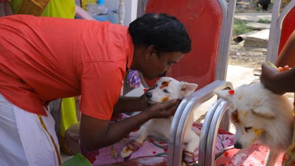 நலுங்கு 