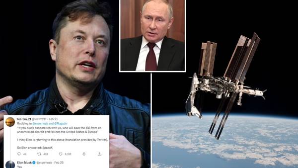 எலான் மஸ்க் 