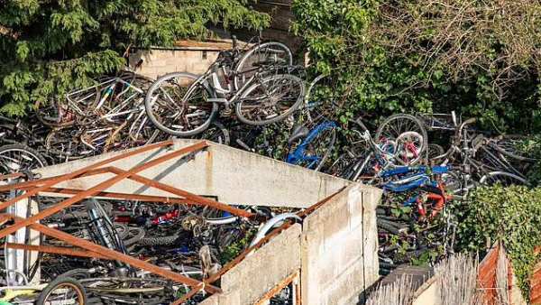 எலி தொல்லையால் வந்த பிரச்சனை 