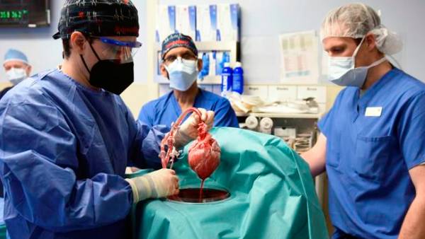 இதய நோயாளி இதய நோயாளி