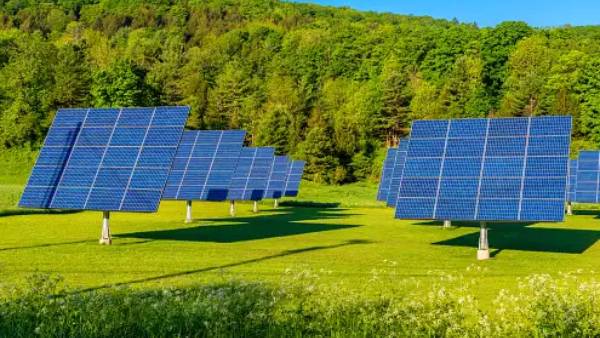 உலக நாடுகள்