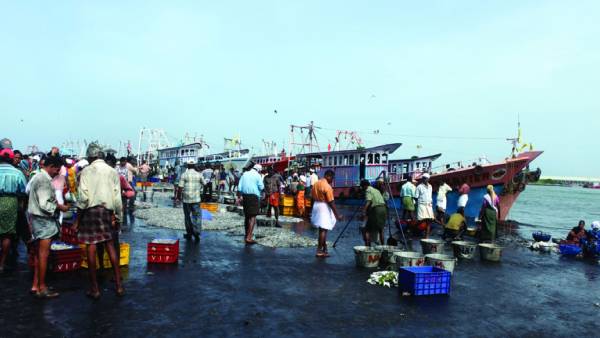 மேலும் அகதிகள் மேலும் அகதிகள்