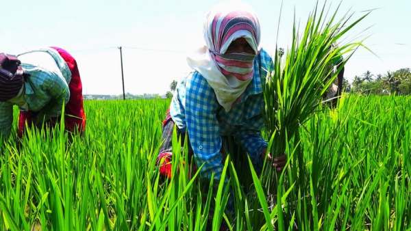ரூ.70 ஆயிரம் கோடி மதிப்பு ரூ.70 ஆயிரம் கோடி மதிப்பு