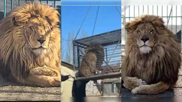 நடைமுறை சிக்கல் நடைமுறை சிக்கல்