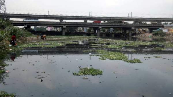 கூவம் நதி கூவம் நதி