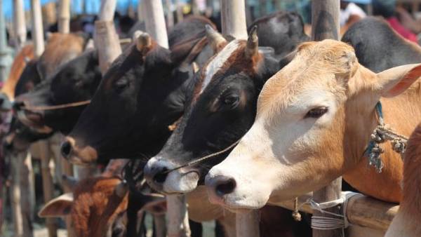 ஏன் இந்த திட்டம்? ஏன் இந்த திட்டம்?