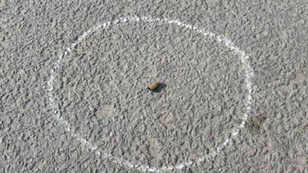 இருவரிடம் விசாரணை 