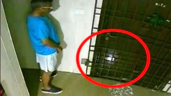 உண்மை உண்மை