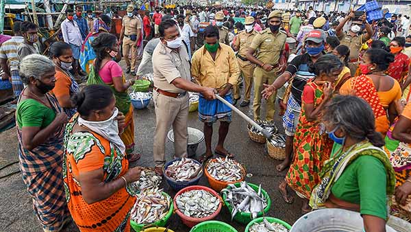காசிமேடு மார்க்கெட் காசிமேடு மார்க்கெட்