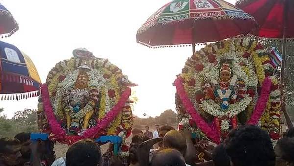 கோடைக்கால நோய்கள் 