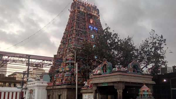 மயில் மயில்