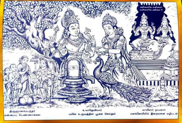  அங்கம் பூம்பாவை உயிர்ப்பித்தல் 