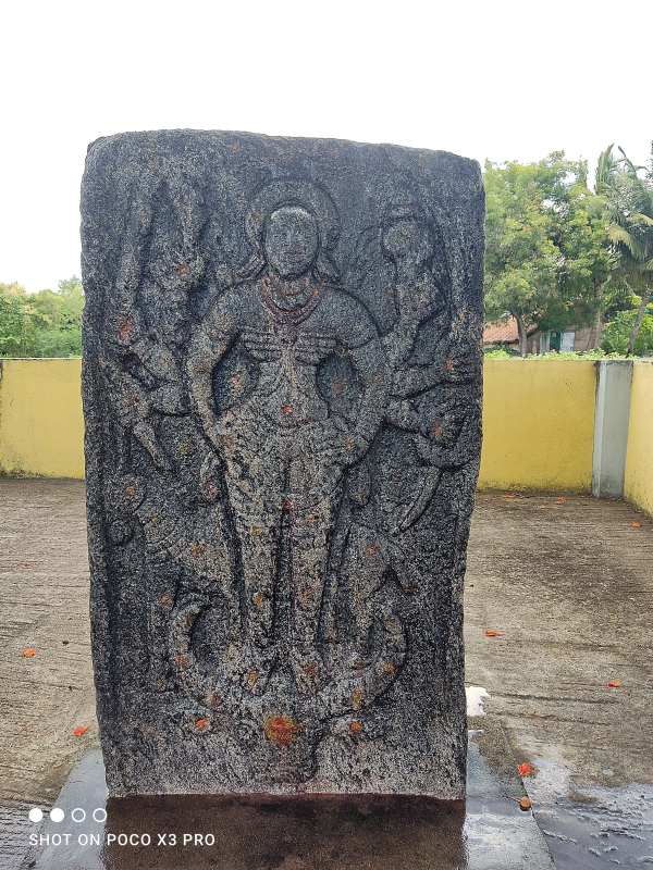 நீண்ட கொம்பு நீண்ட கொம்பு