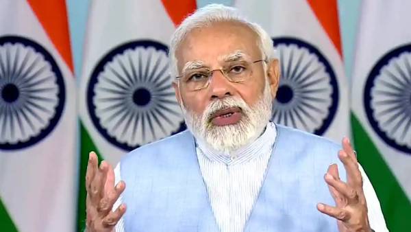  புருட் மெஜாரிட்டி