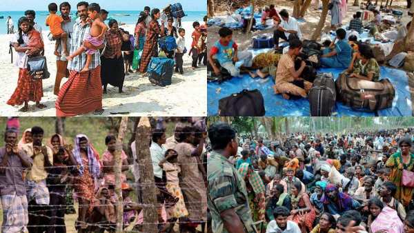 பச்சிளம் குழந்தை பச்சிளம் குழந்தை