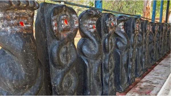 சர்ப்ப தோஷத்திற்கு பரிகாரம் சர்ப்ப தோஷத்திற்கு பரிகாரம்