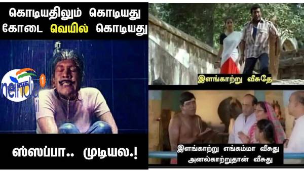 Funny memes collection on summar heat