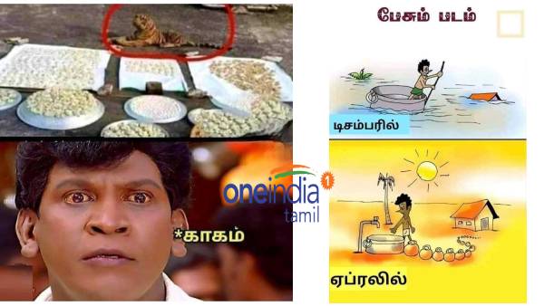 Funny memes collection on summar heat