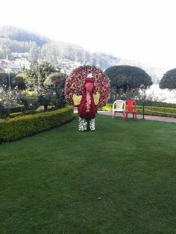 பூங்கா பூங்கா