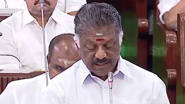 பட்ஜெட் பட்ஜெட்