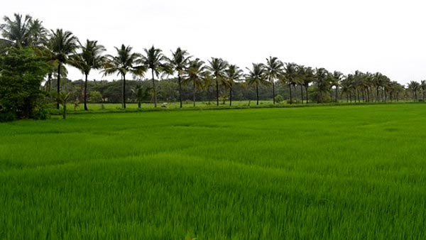 உலக நாடுகள்