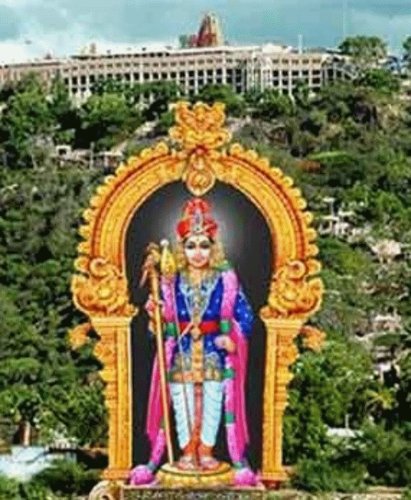 அன்பும், ஆறுதலும் 