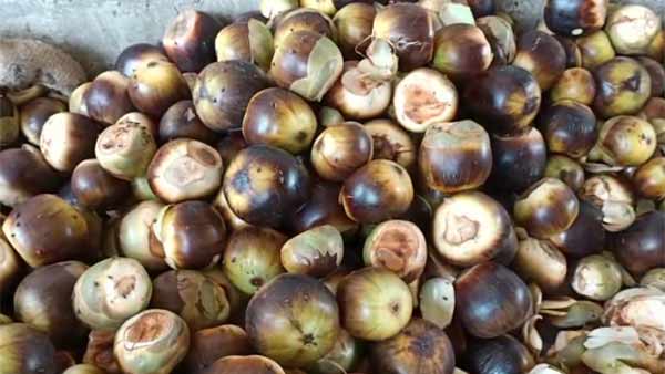 நீரா விற்பனை நீரா விற்பனை