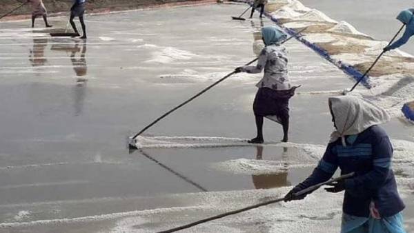  வேதாரண்யம்