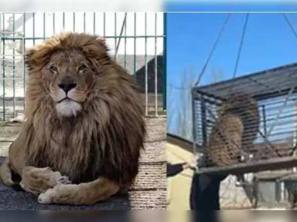 தியேட்டர்கள் தியேட்டர்கள்