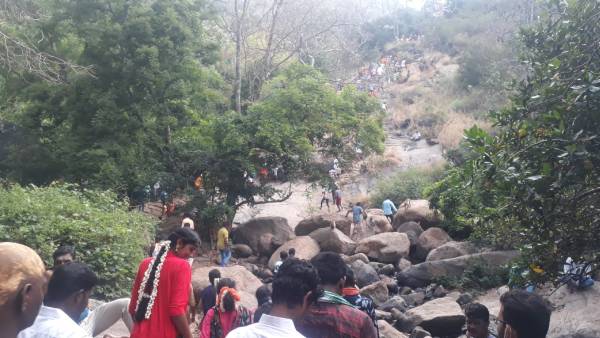 கொடிய நோய்கள் நீங்கும் 