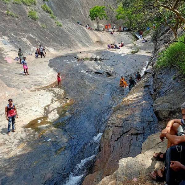 நோய் நீக்கும் நாவல் ஊற்று 