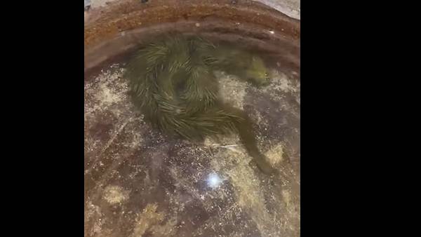 தொடரும் ஆராய்ச்சி