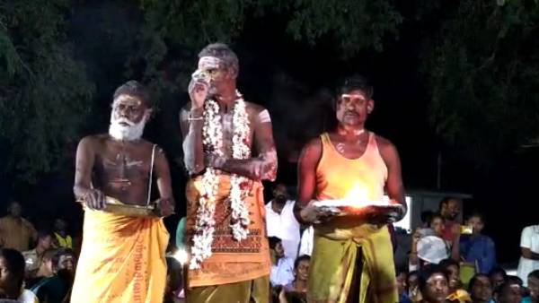 எலுமிச்சை பழம் எலுமிச்சை பழம்