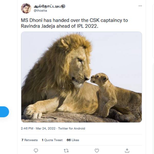 ஜடேஜா என்ன செய்வார் 