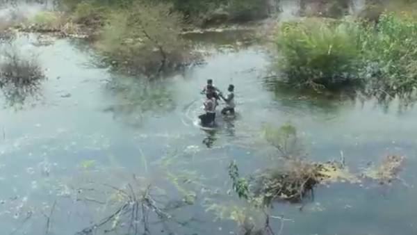  குளத்தில் பதுங்கிய ரவுடி