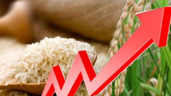 இலங்கை விலைப்பட்டியல் 