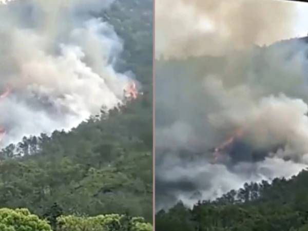 தீ பற்றியது 