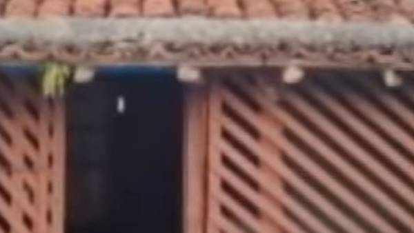 ஆட்சியர் மோகன் 