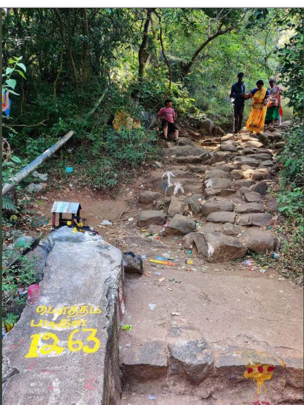 செய்யாற்றின் கிளை செய்யாற்றின் கிளை