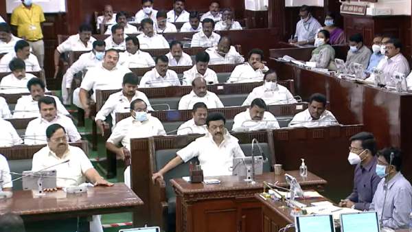 பேருந்துகள் 