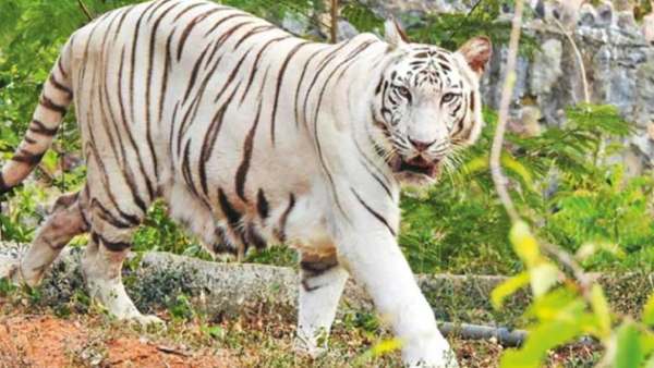 கண்காணிப்பு கேமராக்கள் கண்காணிப்பு கேமராக்கள்