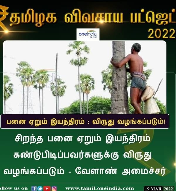பனை வெட்ட அனுமதி 