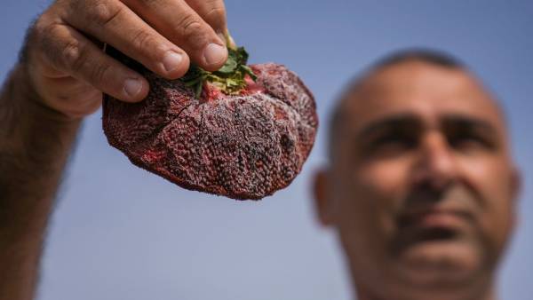 கின்னஸ் புத்தக சாதனை 