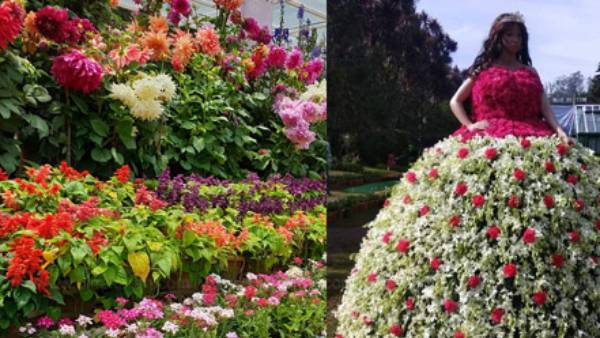 கண்காட்சி கண்காட்சி